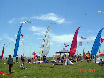 Fiestaviento40