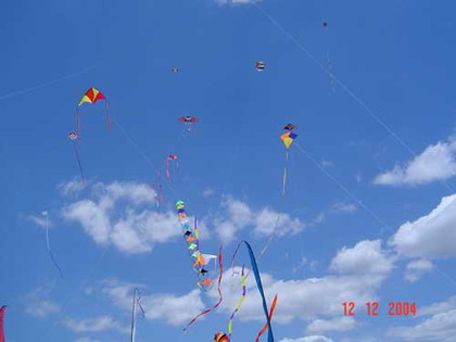 Fiestaviento43