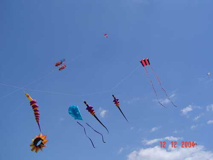 Fiestaviento45