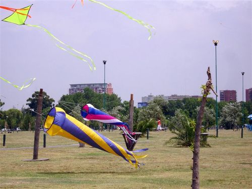 Fiestaviento053