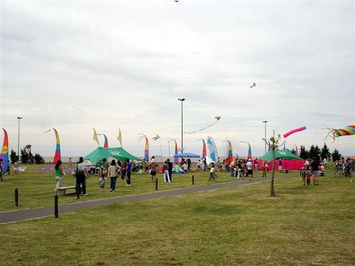 Fiestaviento058