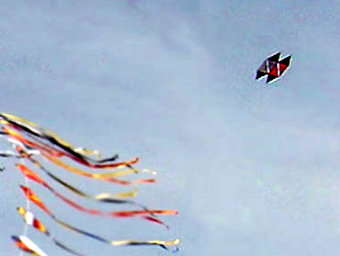 Desorg2003gentebarris02