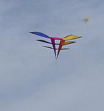 Desorg2003gentebarris27