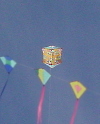 Desorg2003gentebarris30