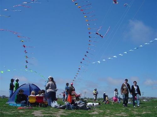 Osowba_081