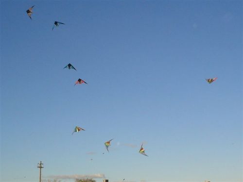 Ros049mundohobby_022