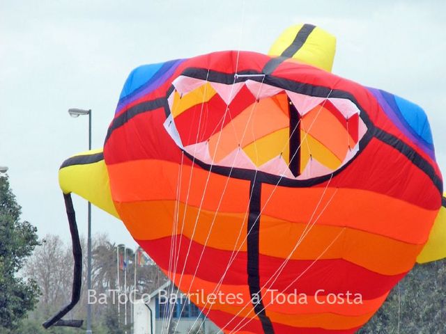 Rosario0771