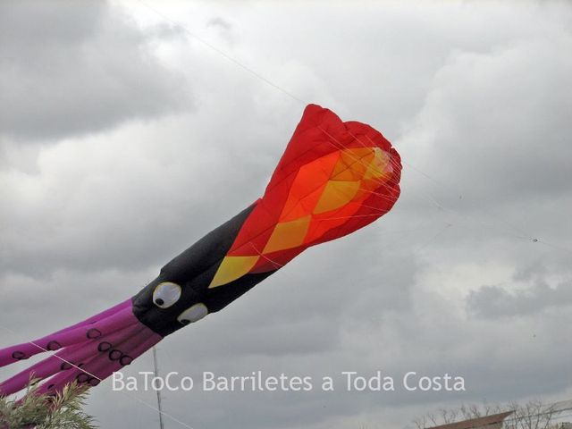 Rosario0774