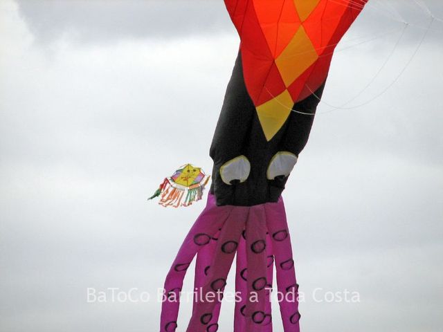 Rosario0782