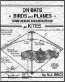 On Bats, Birds and Planes