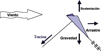 fuerzas