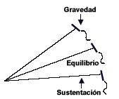 sustentacion