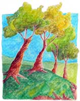 Arboles Arboles