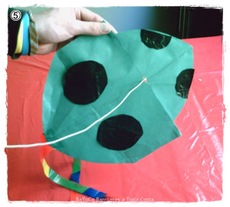 Procedimiento barrilete vaquita de San Antonio