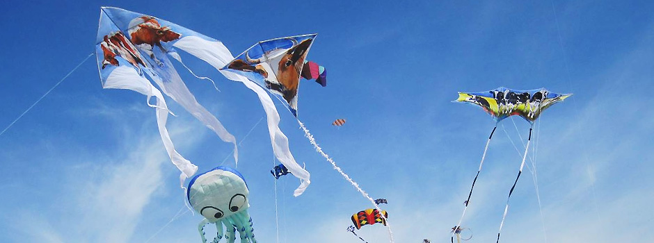 Holland Kite Team